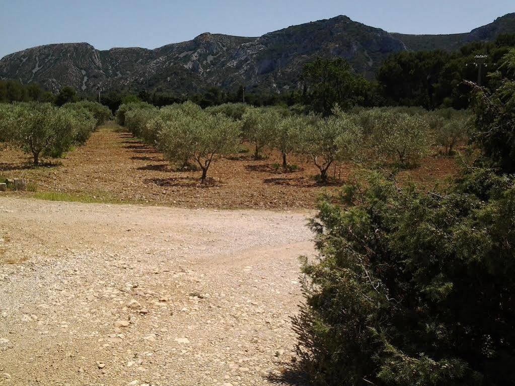 Le Mas Des Genets Saint-Remy-de-Provence Ngoại thất bức ảnh
