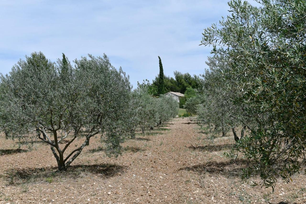 Le Mas Des Genets Saint-Remy-de-Provence Ngoại thất bức ảnh